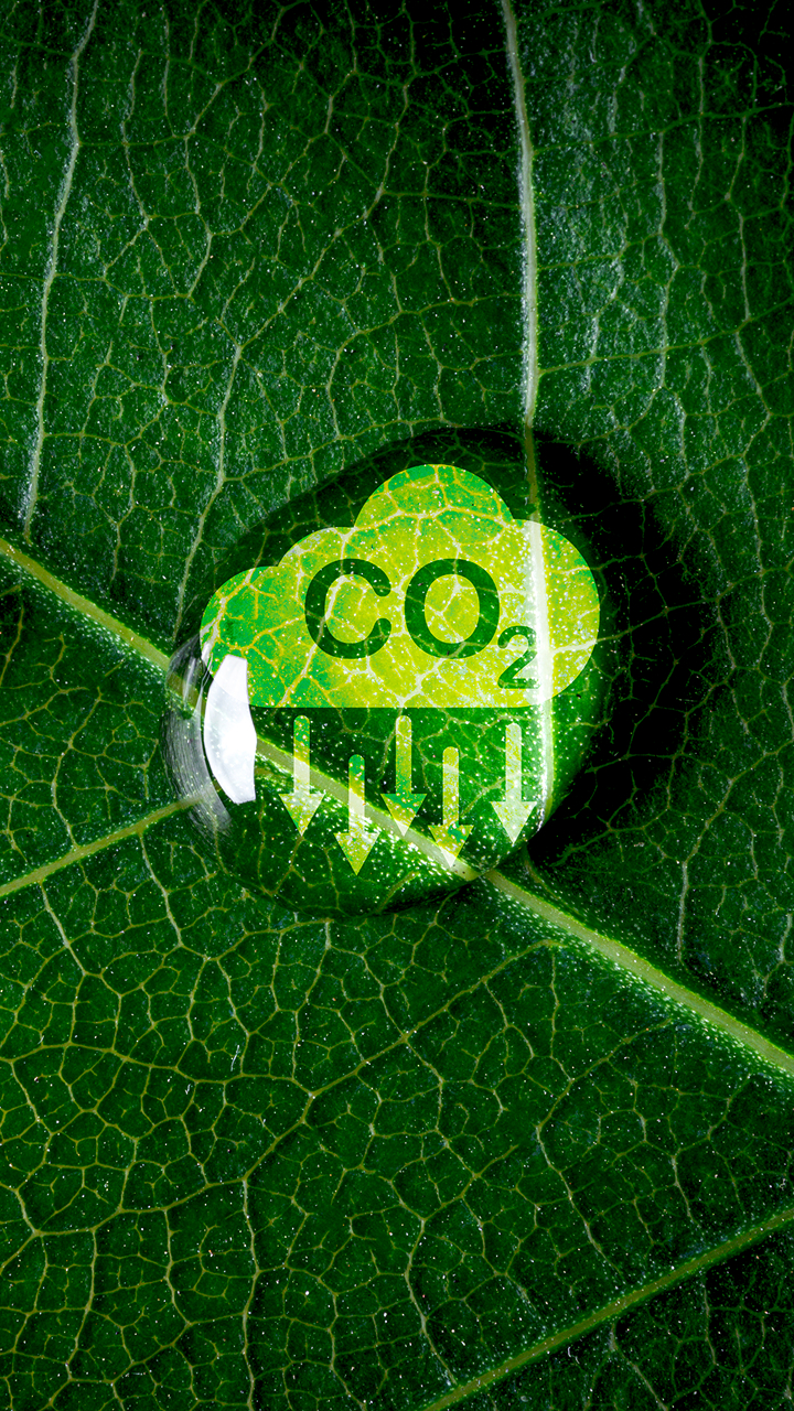 Materiality Assessment esg